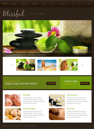 美容养生会所网站模板