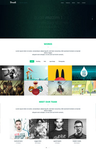 html5响应式模版Brandi