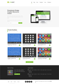 整洁设计网站模板下载