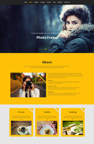 佳摄影网站模板下载