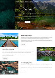 宽屏旅游温泉网站模板