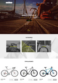 自行车综合资讯门户网站模板