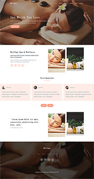 响应式SPA美容护理网站模板