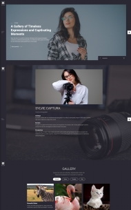 摄影专业机构作品宣传网