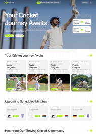 响应式棒球运动宣传网站