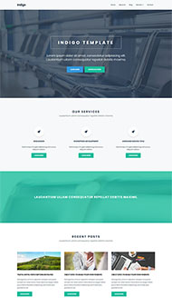 宽屏大气公司团队官网模板