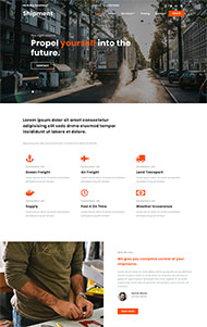 淘宝海外集运公司网站模板