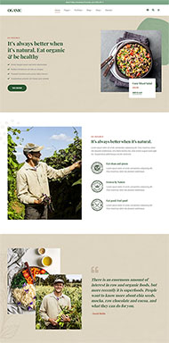 食品加工美食电商网站模板