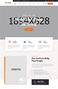 慈善公益爱心捐赠网站模板