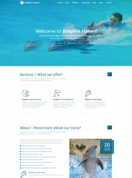 HTML5蓝色海豚馆宣传网站模板
