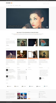 现代简洁CSS3模板