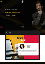 网络开发工程师个人网站模板