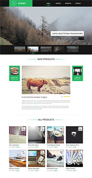 怀旧复古照片展示网站模板