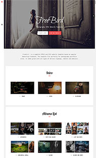 摄影作品展示网站模板