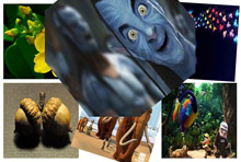 jQuery图片摇晃显示效果 jQuery图片摇晃显示网页特