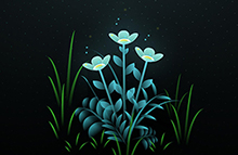 jQuery+css实现夜晚花朵绽放动画