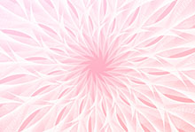 透明白色花环HTML5特效