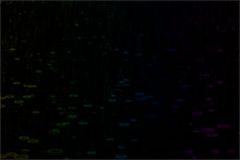 全屏暴雨闪电Canvas特效