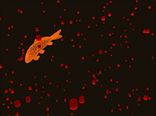 Three.JS锦鲤灯笼背景动画特效