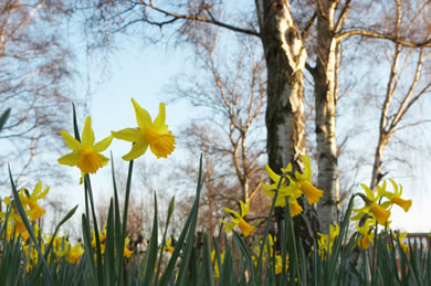 #1 caption goes here