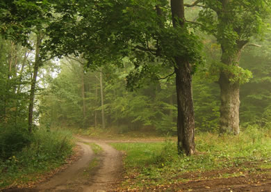 #14 caption goes here