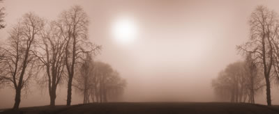 #5 caption goes here