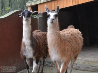 ���硰���ޡ����˱��ˣ�