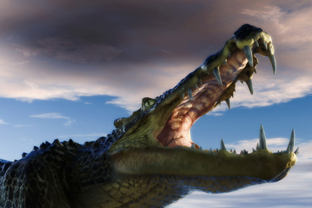 ���ҵ���ʮ�������ѧ����