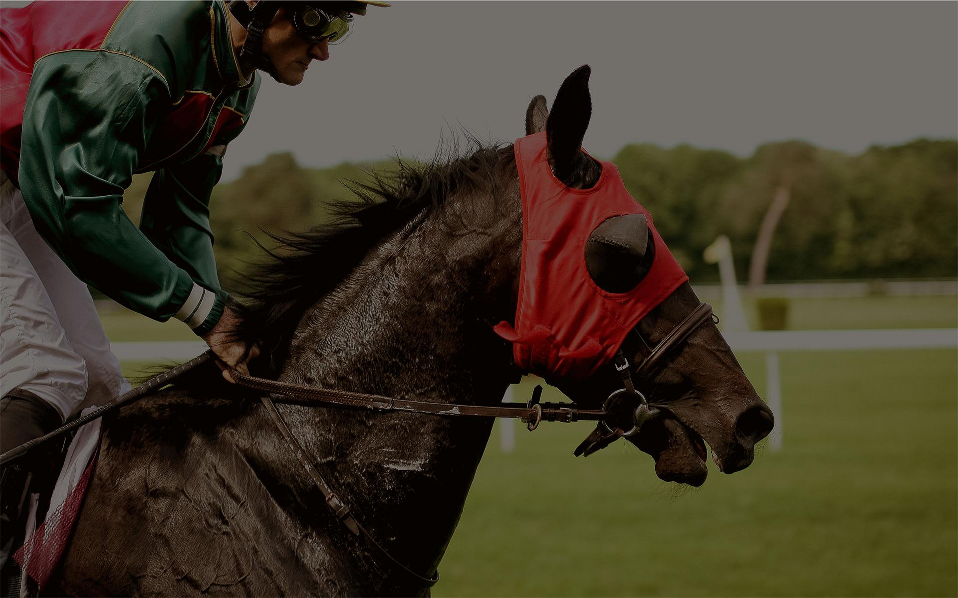 Check it out, you are going to <span class='red'></span> it :)