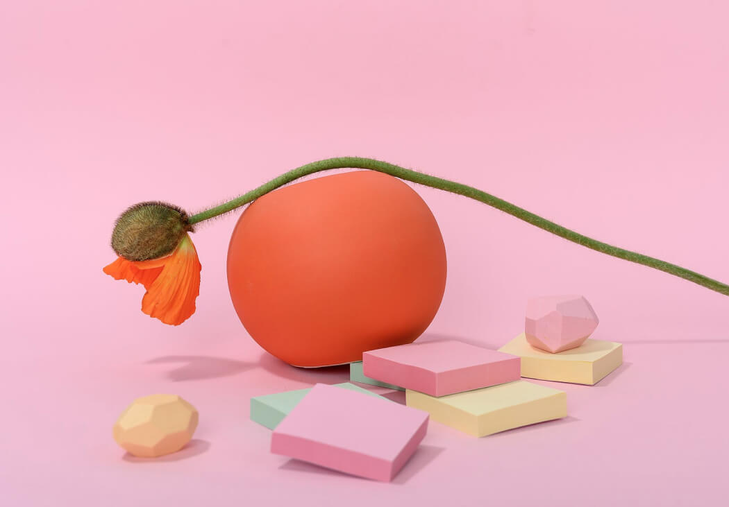 Photo of a plant with objects of different shapes