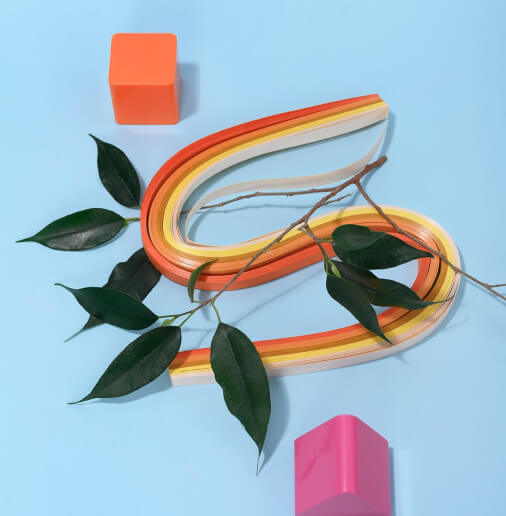 Photo of a plant with objects of different shapes