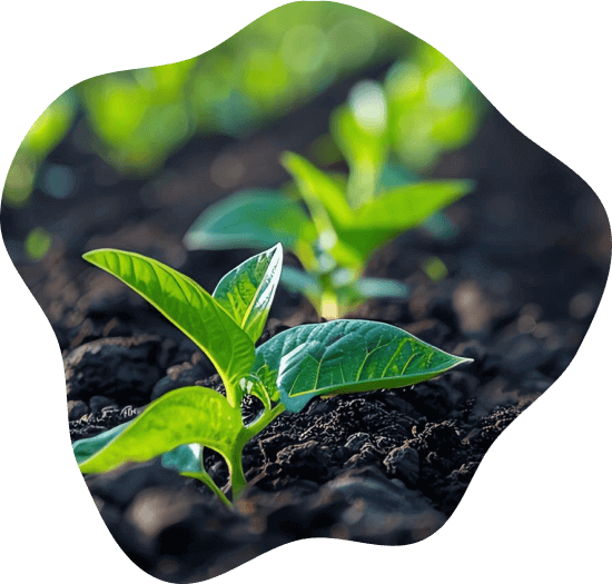 Agriculture & Health